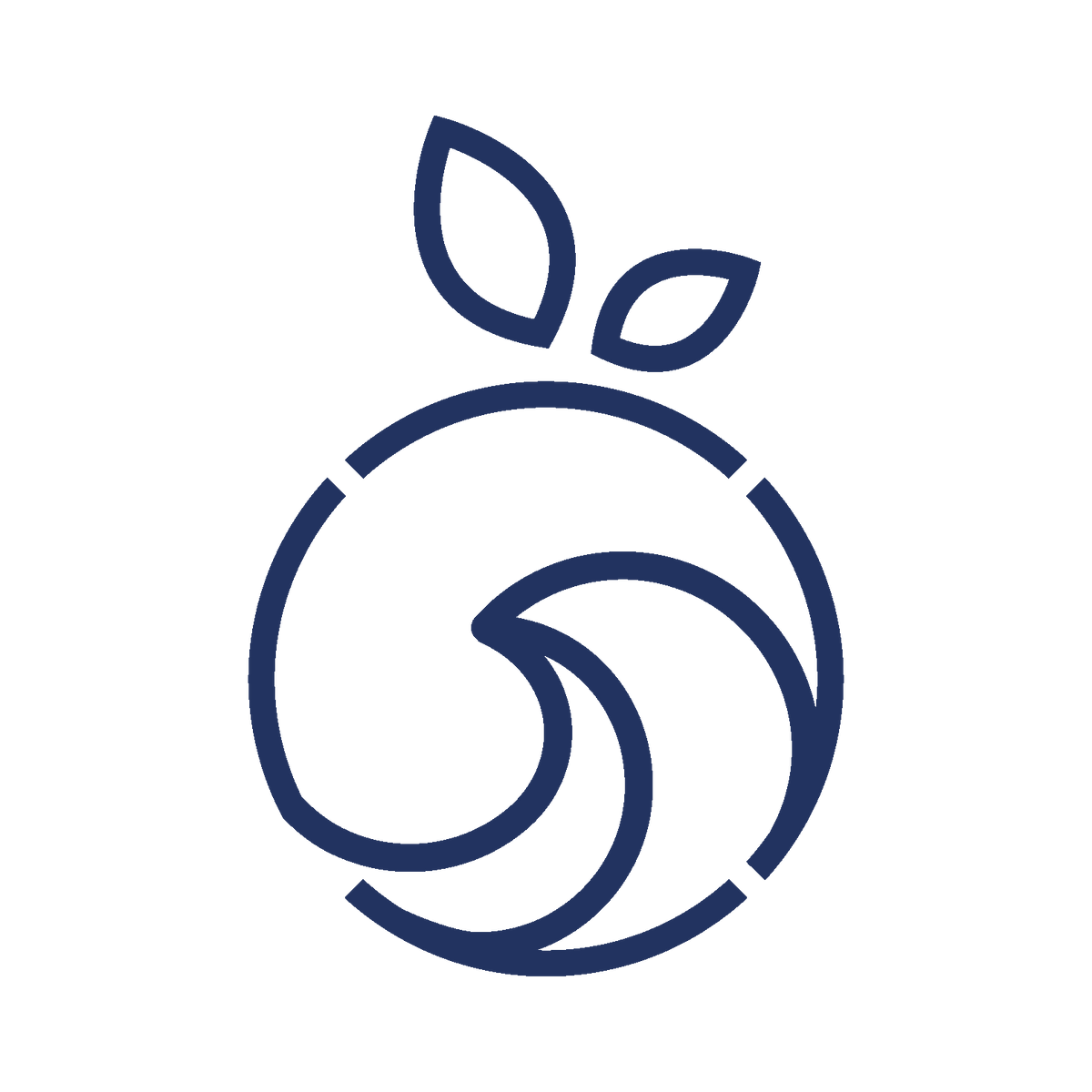 Nonetz 2025 swim trunks