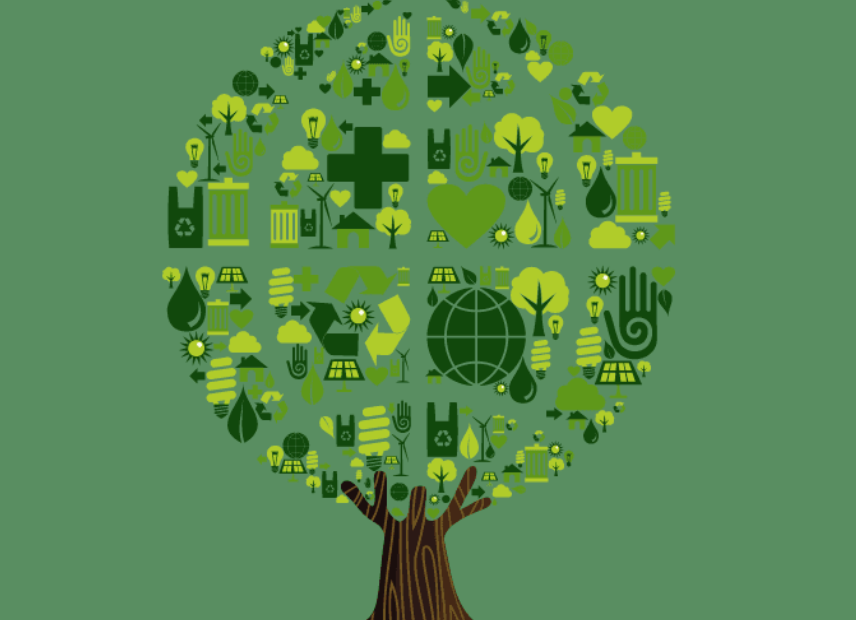 eco-conscious clothing