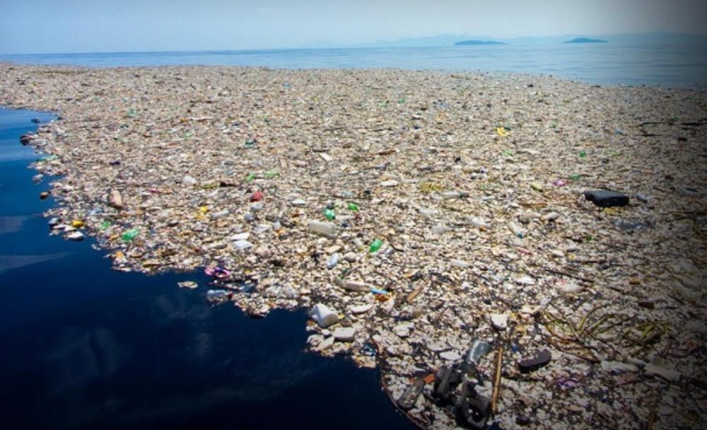 How Does Plastic Get Into The Ocean - NoNetz